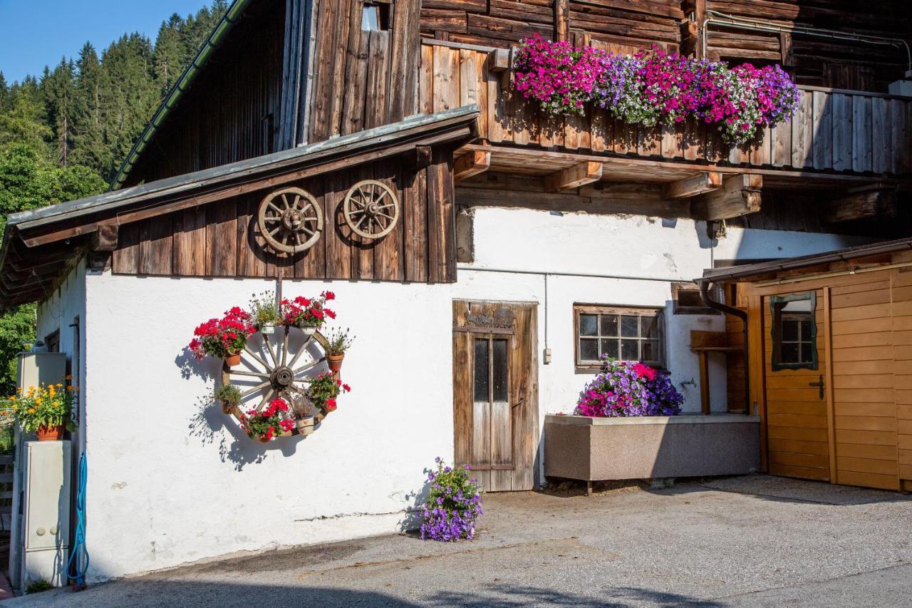 Landhaus Bio-bauernhof Grundlehnerhof Ramsau am Dachstein