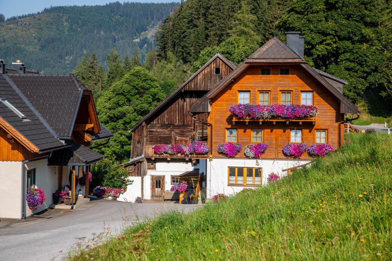 Bio-bauernhof Grundlehnerhof * Ramsau am Dachstein