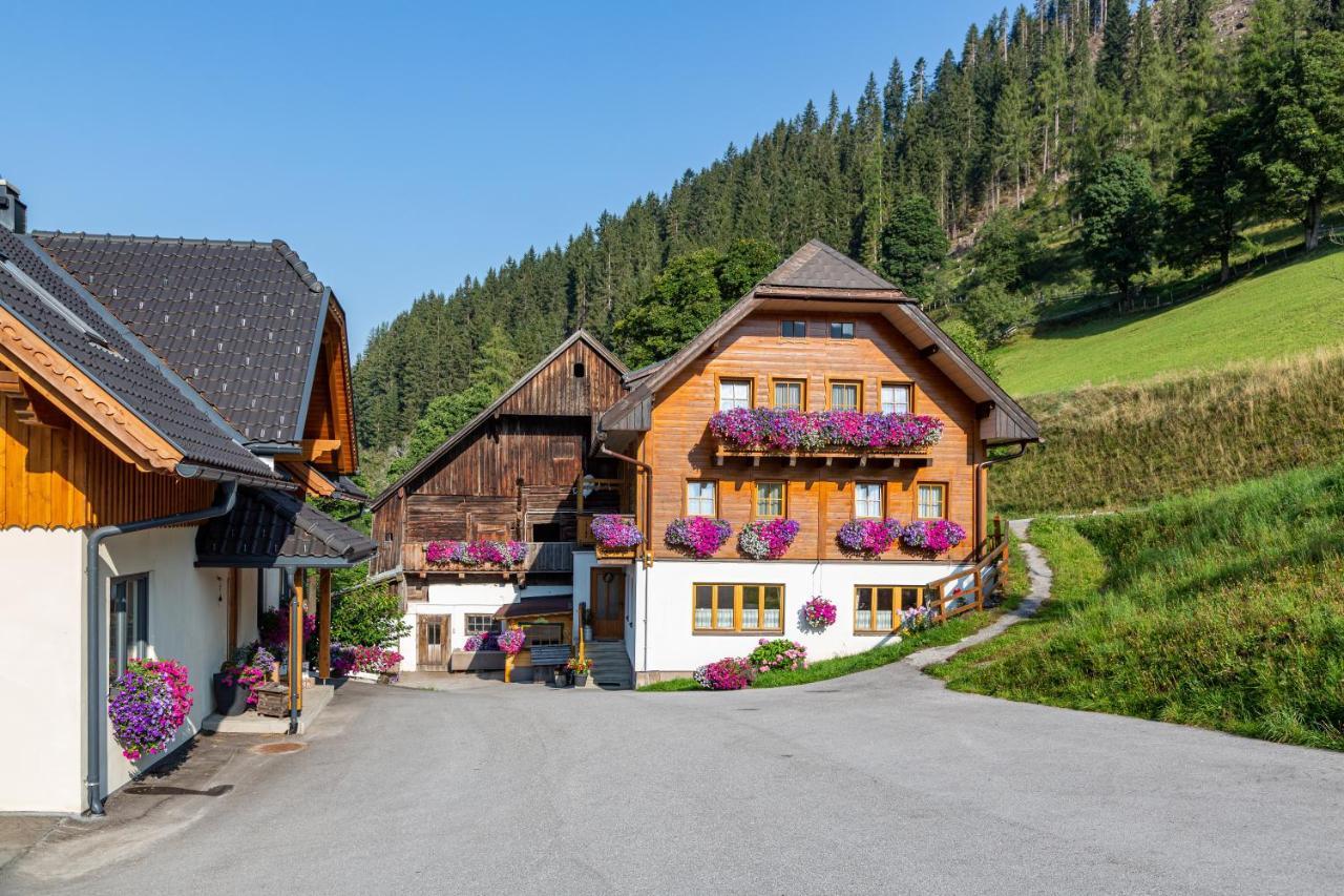 Bio-bauernhof Grundlehnerhof Ramsau am Dachstein