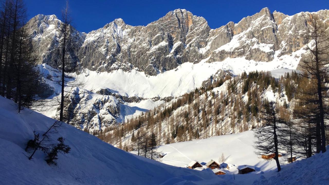 Bio-bauernhof Grundlehnerhof * Ramsau am Dachstein