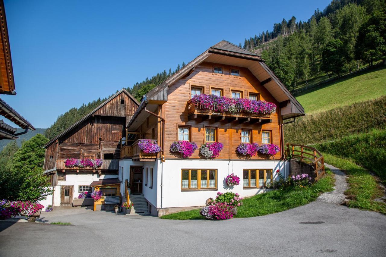 Landhaus Bio-bauernhof Grundlehnerhof Ramsau am Dachstein