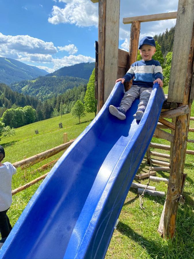 Landhaus Bio-bauernhof Grundlehnerhof Ramsau am Dachstein