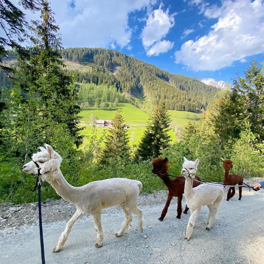 Landhaus Bio-bauernhof Grundlehnerhof Ramsau am Dachstein