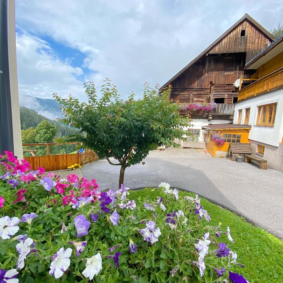 Landhaus Bio-bauernhof Grundlehnerhof