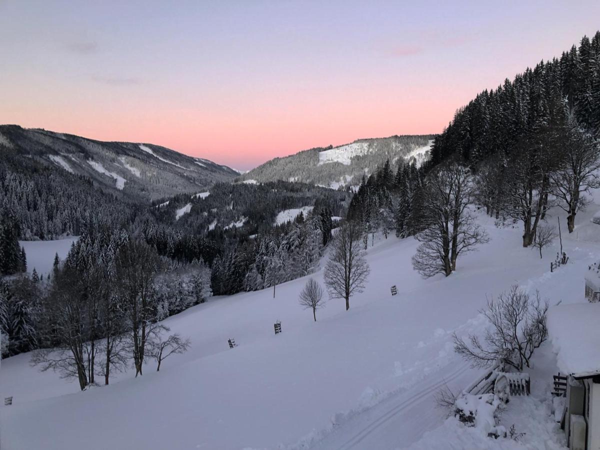 Bio-bauernhof Grundlehnerhof Ramsau am Dachstein