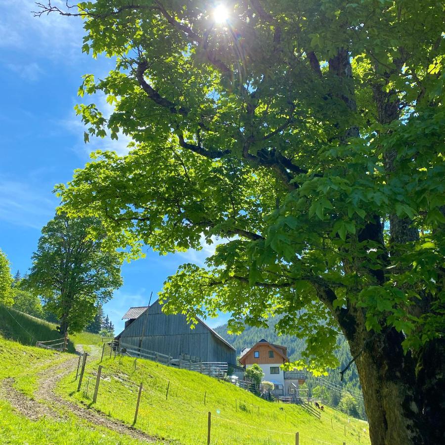 Bio-bauernhof Grundlehnerhof Landhaus Ramsau am Dachstein